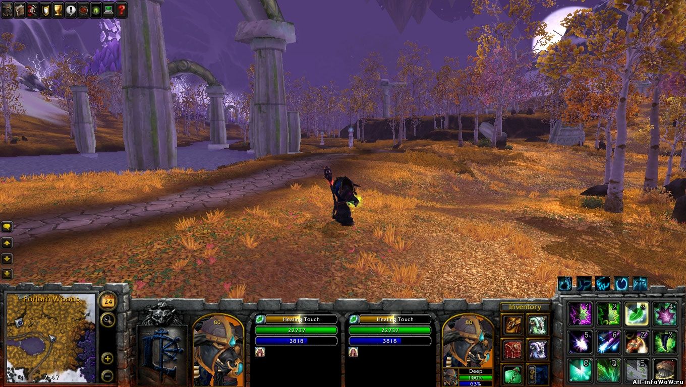 Аддоны для циркла 3.3 5. World of Warcraft 3.3.5. World of Warcraft Интерфейс Warcraft 3. Интерфейс Warcraft 3 для wow. Интерфейс варкрафт 3 3 5.